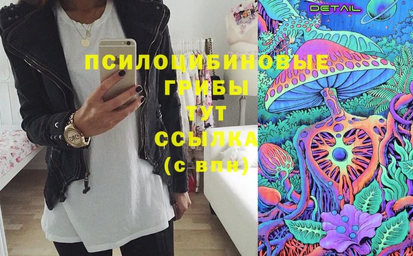 ПСИЛОЦИБИНОВЫЕ ГРИБЫ Армянск