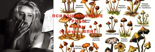 гашишное масло Арсеньев